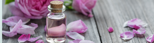 Rosenöl – Verwendungen des kostbaren Öls