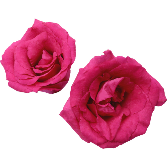 Eau de Parfum Mademoiselle Rose mit Rosenöl 35ml