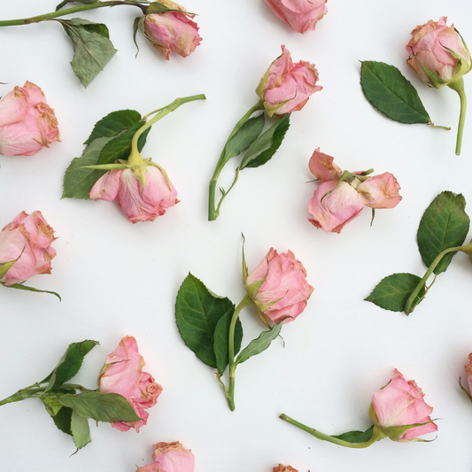 Eau de Parfum Rose für Männer – mit Rosenöl 35 ml
