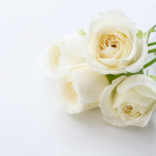Set - Weiße Rose und Olive - Parfum und Seife